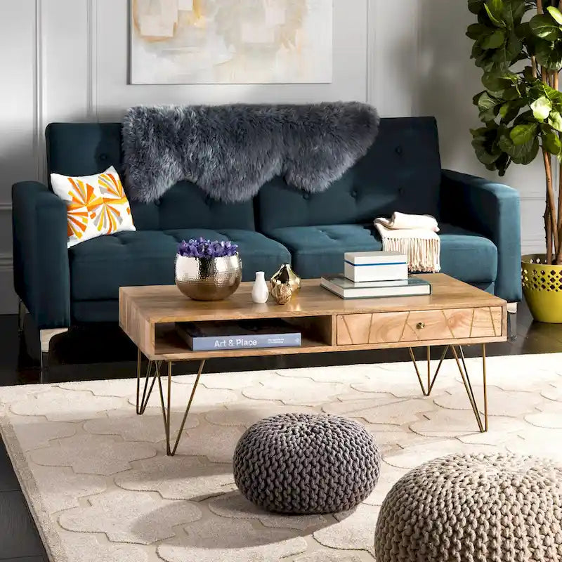 SAFAVIEH Nilgun 1-Drawer 1-Shelf Living Room Coffee Table - 43 W x 21.6 L x 16 H - 43Wx22Dx16H